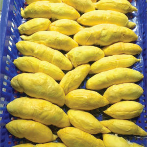 durian segments