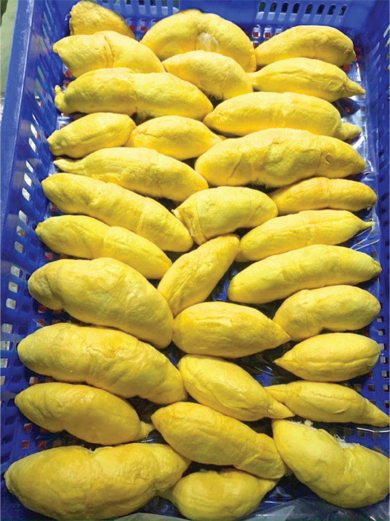 durian segments
